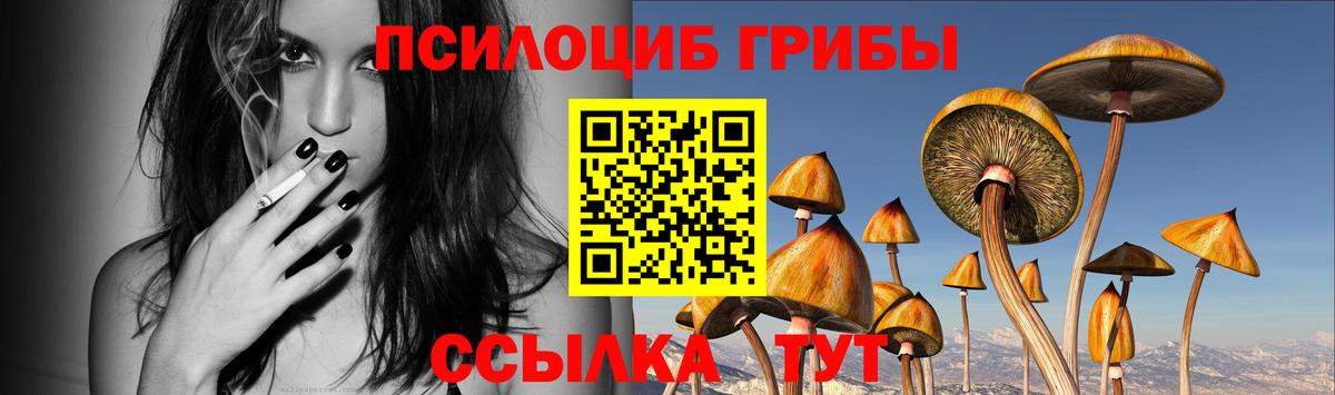 Великие Луки  Псилоцибиновые грибы Psilocybe  Вход с VPN 